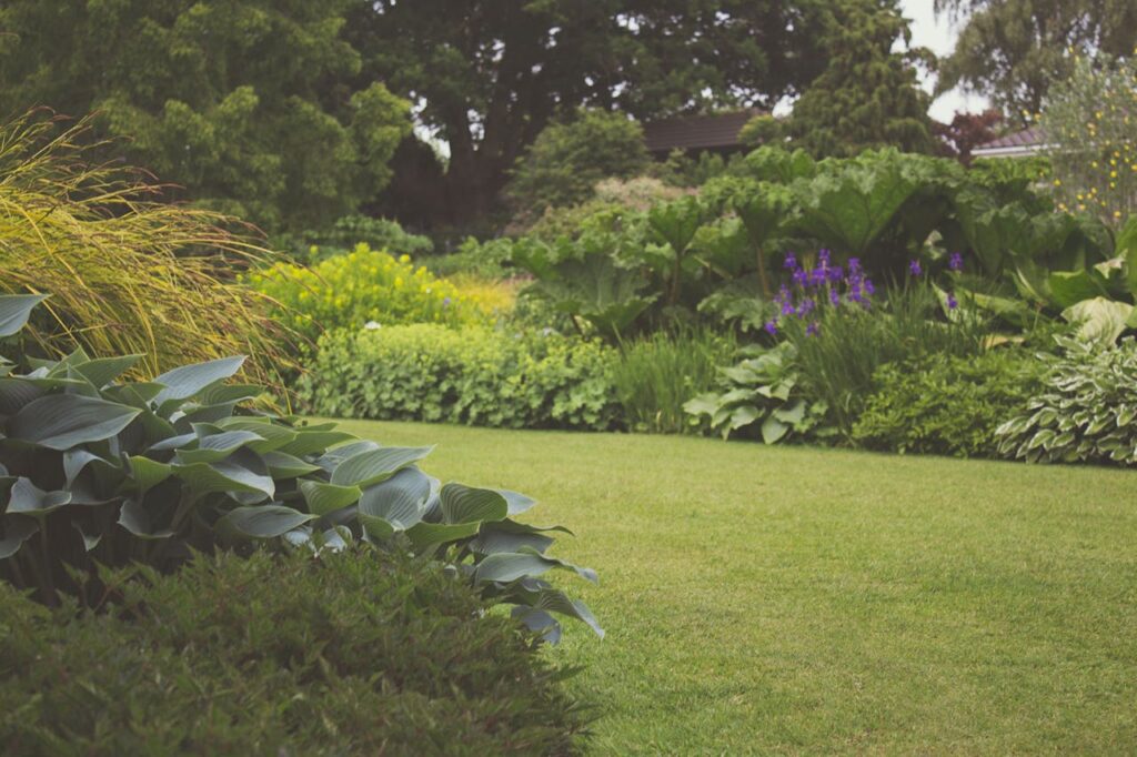 Moderne tuin