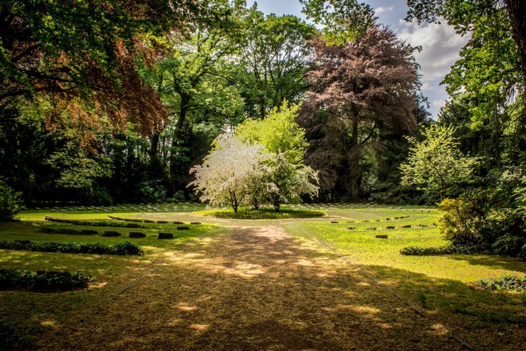 Landelijke tuin