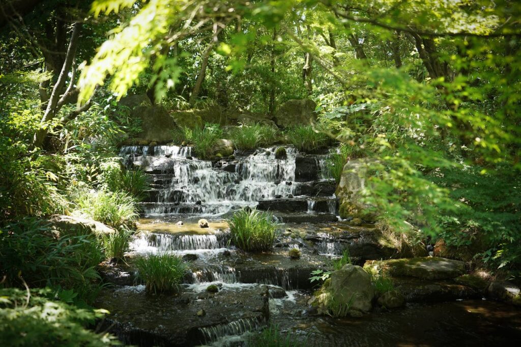 Botanische tuin